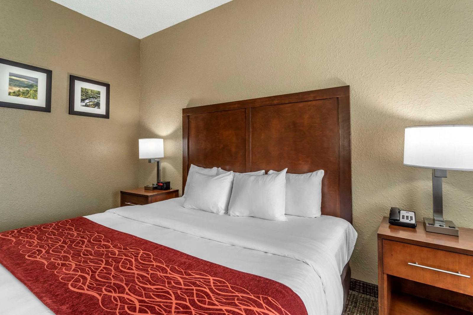 Comfort Inn South Main image 2